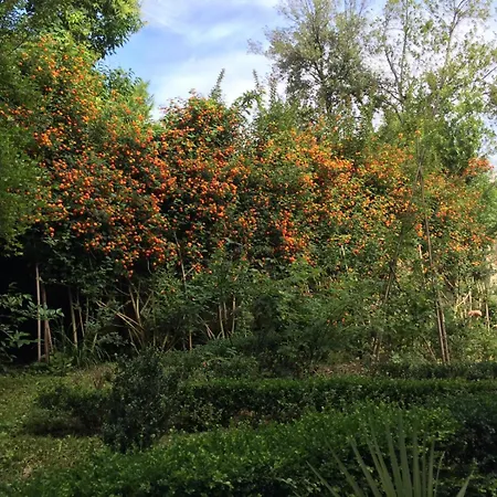 Il Giardino Di San Lorenzo * Piza